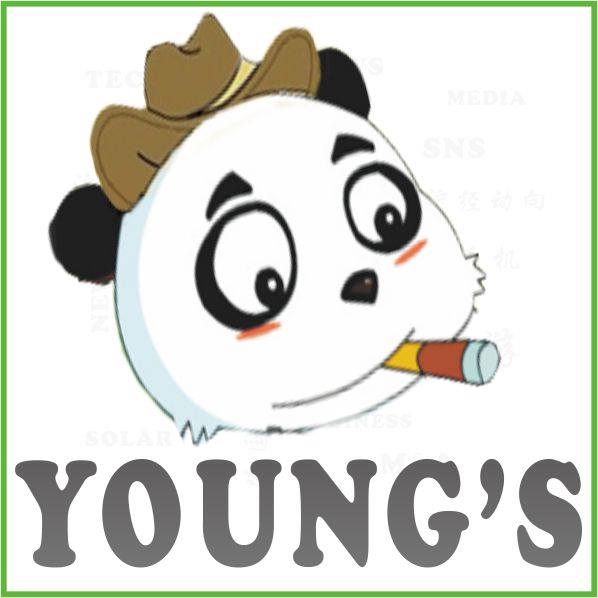 logo Young’s Business
