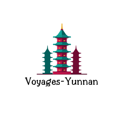 logo Voyages Yunnan